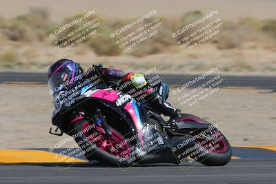 media/Mar-26-2023-CVMA (Sun) [[318ada6d46]]/Race 13 500 Supersport-350 Supersport/